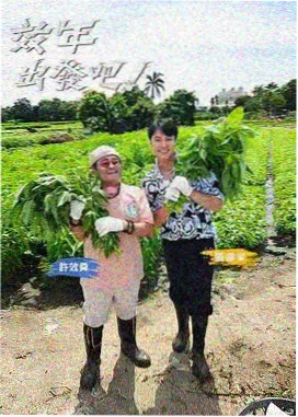 脑洞研究所 科普综艺下载